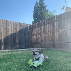 Meet your Posher, Duke